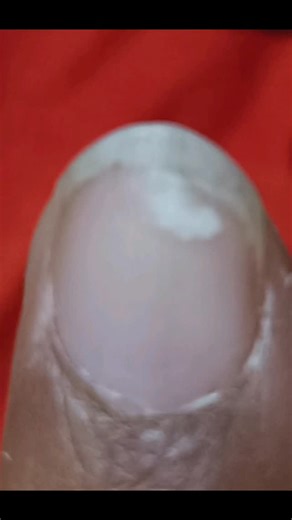 @myhobbyhub on Instagram: "21. Swan on a finger nail (drawing without a stylus is hard btw 😭) #digitalart #swanpainting #paintingwithimagination #fyp #trendingreels"