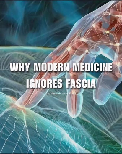 Fascia: The long-overlooked tissue that shapes your health | New ... Modern medicine historically ignored fascia due to a lack of clear visualization in traditional imaging techniques, a medical system that treats the body in isolated parts, and the historical perception of fascia as inert tissue. However, with new research showing fascia is a dynamic, innervated organ critical for movement and sensory input, this perspective is changing. Historical and technical reasons for overlooking fascia I