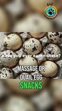 Bali to Java by Ferry - Storms & Views #shorts