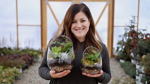 57K views · 2.3K reactions | I love putting together terrariums! They're beautiful and easy to make (not to mention the fact that they are a great gift to give...or receive )!  | Garden Answer | Facebook