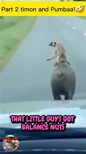 Part 2, Timon And Pumbaa!🤣🤣🤣 #shorts #funny #comedy