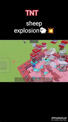 TNT sheep explosion #minecraft #shortvideo #gaming