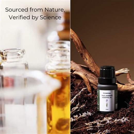 Lavender Essential Oil