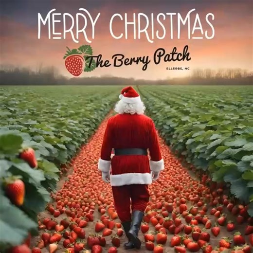 The Berry Patch will be closed Christmas Eve & Christmas Day. If you need last minute gifts, we have lots of gift baskets prepared & tons of gift items. We also have collards by the bunch, cooked or triple washed & cut up by the bag, squash, tomatoes, blackeye peas & hog jowls (not too early to be thinking about your New Year’s Day meal). Open til 5:30pm today. Berry Christmas! | The Berry Patch