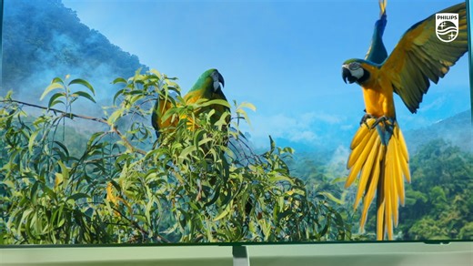 Light up your world with Ambilight. | Philips TV | Facebook