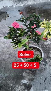 1.5K views · 34 reactions | Solve it Math Test solve | M Mathematics | Facebook