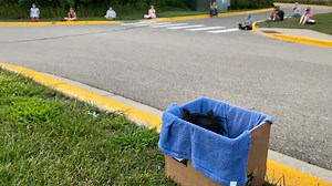 We had fun visiting with all of you last night. We especially enjoyed answering questions from the younger crowd members. Our two favorites are: Do the swifts have to worry when Santa comes down the chimney? (answer: no, because they migrate and aren't in the chimney in the winter) and How do they build the nests so they cling to the chimney? (answer: with mud, sticks and spit - which promptly received a "Gross!" response). Here's a video of one flying from its travel box (note that you can see 