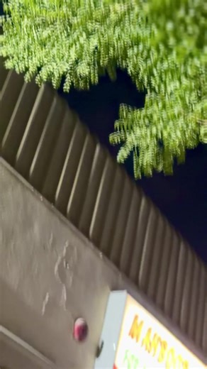 Mahboob for Meat Trading LLC: Premium Mutton Paya