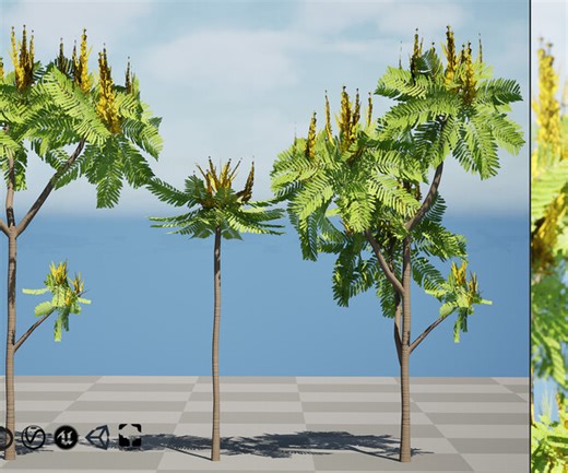 ArtStation - Brazilian Firetree 3D Model | Game Assets