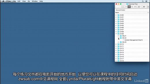 Lynda中文字幕 FileMaker Pro 15基础教程 FileMaker Pro 15 Essential Training