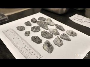 Transcritical CO2 Pulverization (tCO2)