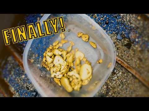 Ep. 19 Back on the Gold