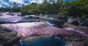 Caño Cristales, una joya turística escondida en Colombia