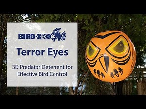 Terror Eyes: 3D Predator Deterrent for Effective Bird Control