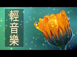 2 HOURS Relaxing Chinese Music | Saxophone Music | Sleep Music - Spa Music - Meditation📀25