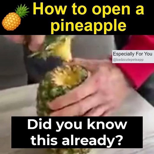 208K views · 1.4K reactions | Use this trick to open a pineapple without any tools. | Look Into My Eyes | Facebook
