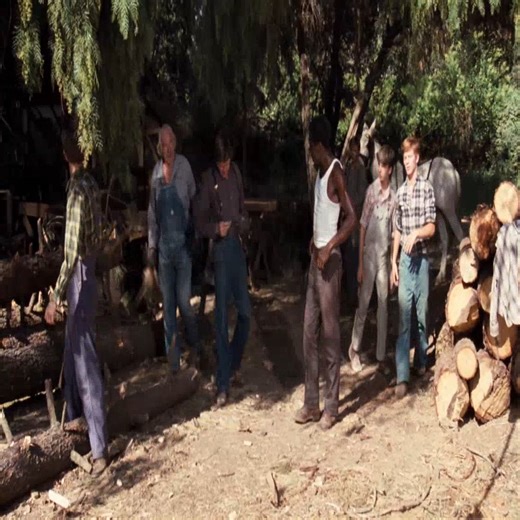 The Waltons S04E03 – The Fighter Part 3 #waltonstv #TheWaltons #tvshow #oldtvshows #BOOMchallenge | Draven Benjamin