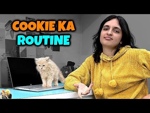 COOKIE KA ROUTINE | Ep 637 | Aayu and Pihu Show