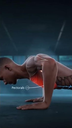 Explore the Human Body Like Never Before! #shorts #3dbody #bodycare#3danatomy #science #viral #h