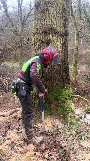 La panne sèche!!!💨🪵@Le Besson #abattage #bucheron #wood #forest #bois