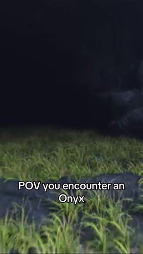 Just imagine a Gyarados or any water Pokemon ! #pokemon #onyx #pokemonencounter #realisticpokemon #scarypokemon #fyp #foryoupage