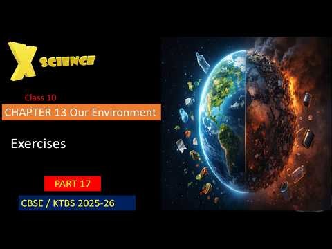 part 17 13 our environment exercises