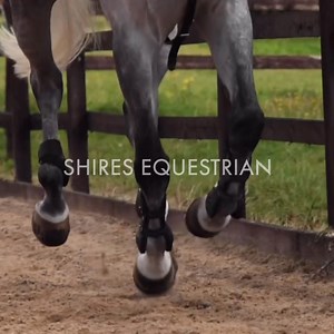 1K views · 20 reactions | From everyday essentials to performance-focused gear, Shires Equestrian brings together the leading names in equestrian equipment and apparel. Quality you can depend on, from brands you know and trust. | Shires Equestrian | Facebook