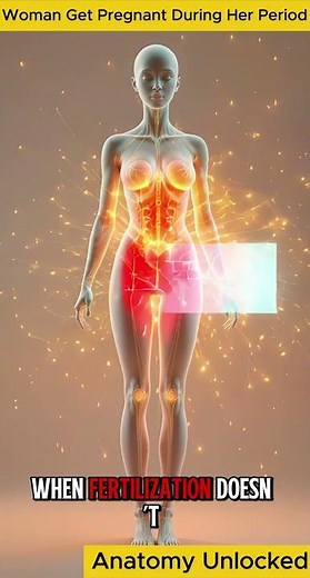 Can a Woman Get Pregnant During Her Period? | The Truth Behind Fertility Timing Explained