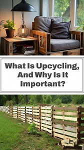 15 reactions | Upcycling is the process of transforming discarded...