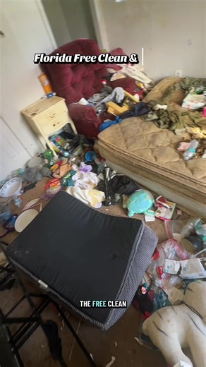 Florida Free Cleaning Services: A Community Initiative