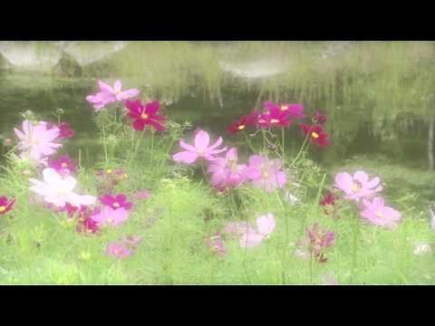 Communication From God Meditation Video