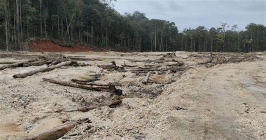 Restauração ecológica de florestas tropicais: uma "valsa" em três tempos que pode ter a ciência como maestra