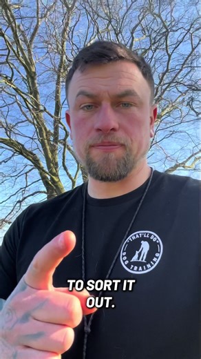 Essential Dog Training Tips: Mastering Sit and Stay