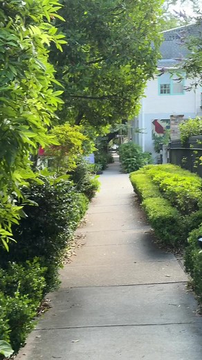 Colorful New Orleans: Every Shade on a City Walk