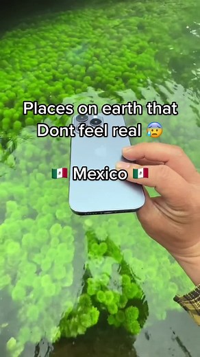 Most beautiful places in Mexico 🤩✨ #adventure #travel #nature #explore #MyDolceMoment #mexico #mexico🇲🇽 #🇲🇽