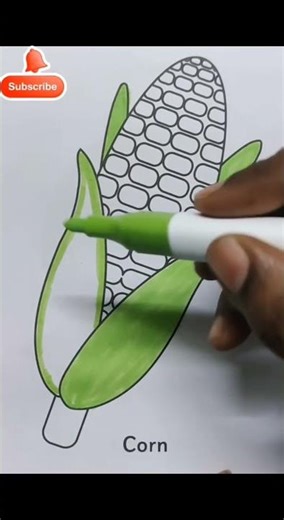 Beautiful Corn Colouring Drawing for Kids | Easy Maize Coloring Page