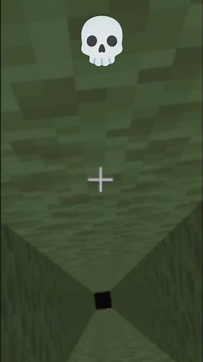 MINECRAFT WORLD