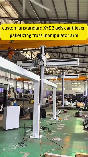 3 Axis Automatic Cantilever Palletizing Truss Manipulator Arm