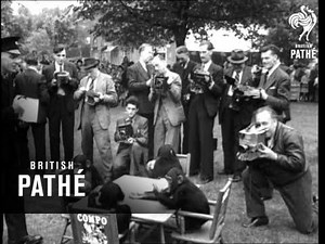 Chimps Tea Party (1949)