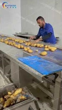 Iraq Factory Potato Sorting Line — Live Footage
