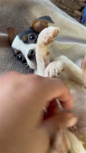 32K views · 2K reactions | Domingo de terapias para nuestra amada Leticia. ¿Notan el avance?  | La Casita Del Bosque | Facebook