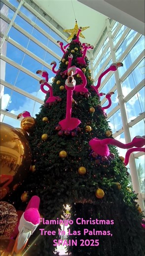 Flamingo Christmas Tree in Las Palmas, Spain 2025 #trending #viral #viralvideo #song