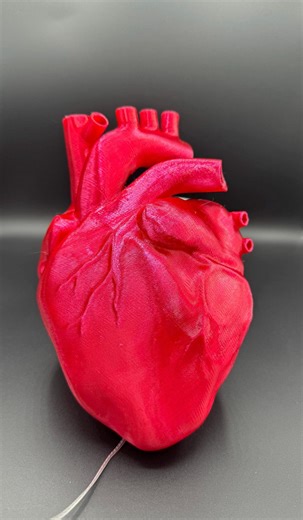 3D Printed Heart for 12ft Skeleton | Halloween Prop Accessory | Fits LED & Fairy Lights - Etsy