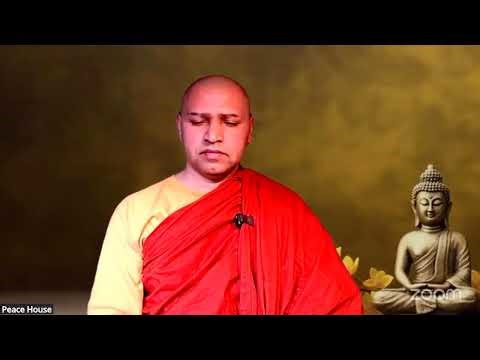 Perfect Stillness & Pure Equanimity | 30 Min Guided Meditation