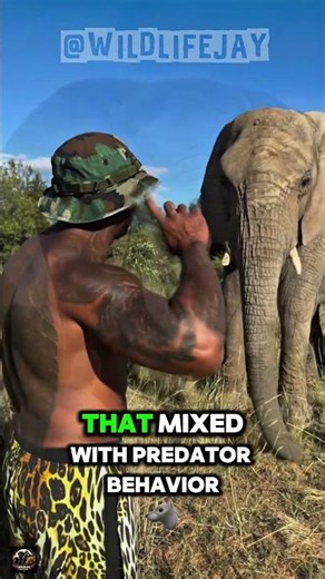 What If Elephants Were Predators? 🐘