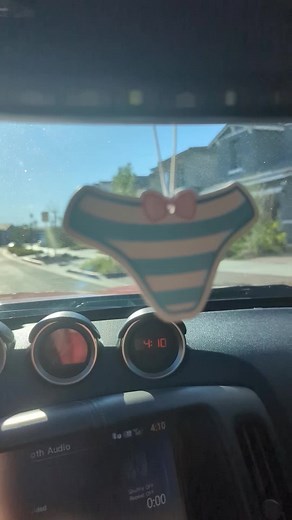 It’s the way they don’t even blink at the pantsu, they just want the scent notes. 😭🌹 A little piece of Chi for the car.. because if we aren’t living a slightly unhinged anime life, what are we even doing? If you like your rose scents with a side of