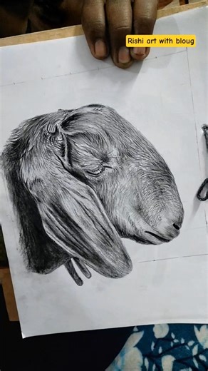 goat drawing tutorial#realistic#art #drawing #rishi art with blog