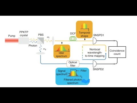 Rof Electro optic modulator optical amplification SOA butterfly semiconductor optical amplifier