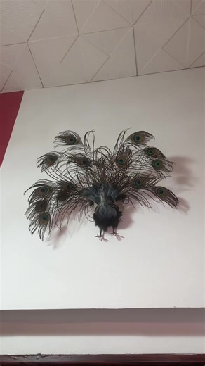 i swear i never noticed 😭