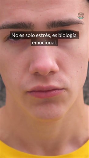 Tu digestión y tus emociones están más conectadas de lo que imaginas. #digestio #saludintestinal
